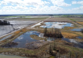 0 County Road 713, Matthews, Missouri 63867, ,Farm,For Sale,County Road 713,MAR23031820
