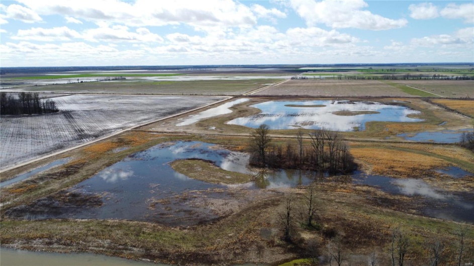 0 County Road 713, Matthews, Missouri 63867, ,Farm,For Sale,County Road 713,MAR23031820