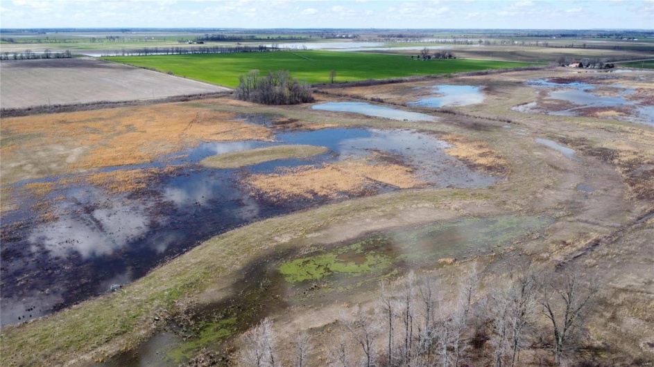 0 County Road 713, Matthews, Missouri 63867, ,Farm,For Sale,County Road 713,MAR23031820