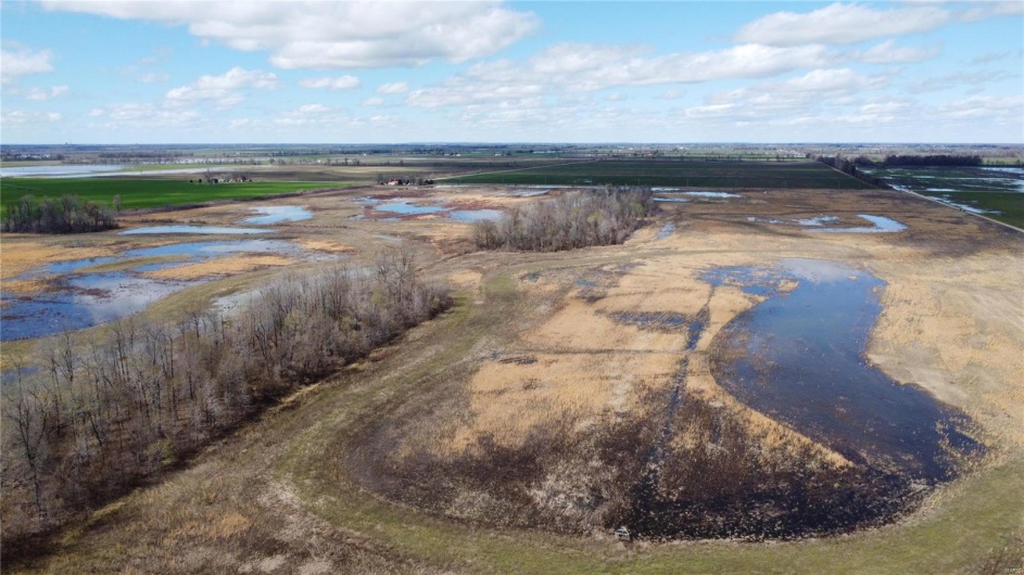 0 County Road 713, Matthews, Missouri 63867, ,Farm,For Sale,County Road 713,MAR23031820