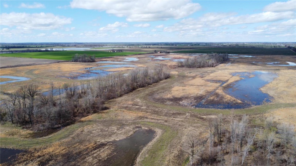 0 County Road 713, Matthews, Missouri 63867, ,Farm,For Sale,County Road 713,MAR23031820