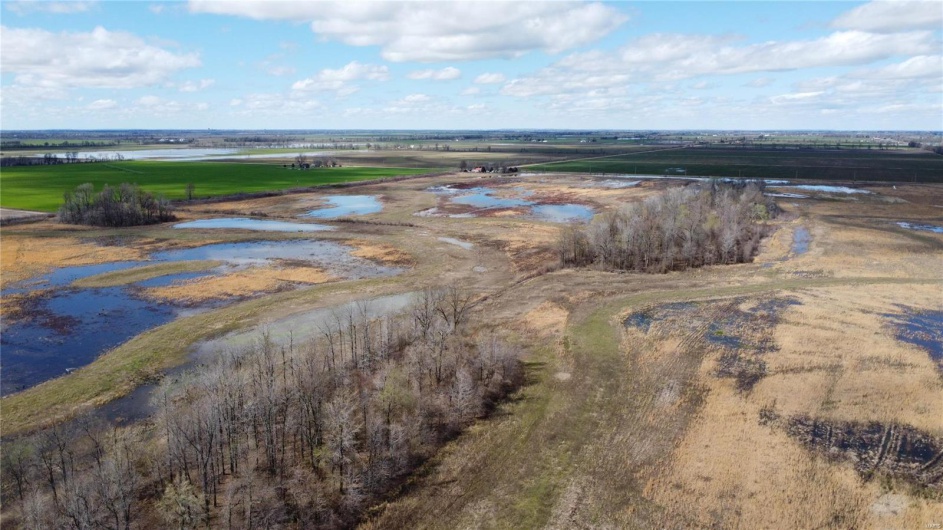 0 County Road 713, Matthews, Missouri 63867, ,Farm,For Sale,County Road 713,MAR23031820
