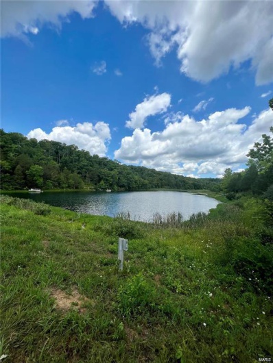 1902 1st Street, Bonne Terre, Missouri 63628, ,Land,For Sale,1st,MAR24038433