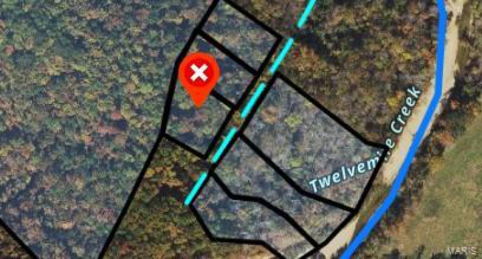 72 Madison CR 410, Fredericktown, Missouri 63645, ,Farm,For Sale,Madison CR 410,MAR24040802