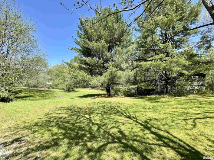 412 WAGON WHEEL Road, Carbondale, Illinois 62901, 6 Bedrooms Bedrooms, 0 ,5 BathroomsBathrooms,Residential,For Sale,WAGON WHEEL,0,RMAQC4254271