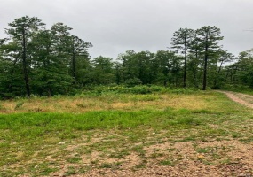 67 Madison CR 410, Fredericktown, Missouri 63645, ,Farm,For Sale,Madison CR 410,MAR24041008