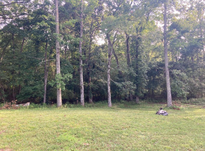 131 Outer Road, Poplar Bluff, Missouri 63901, 5 Bedrooms Bedrooms, 12 Rooms Rooms,3 BathroomsBathrooms,Residential,For Sale,Outer Road,MAR24036173