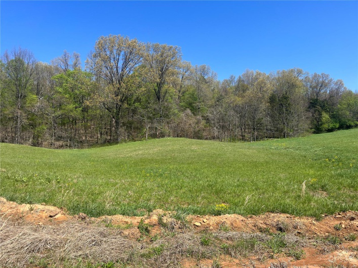 5 Cr 528, Fredericktown, Missouri 63645, ,Land,For Sale,Cr 528,MAR23021165