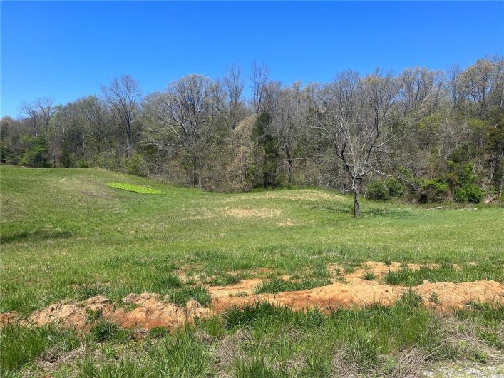 8 CR 528, Fredericktown, Missouri 63645, ,Farm,For Sale,CR 528,MAR23021168