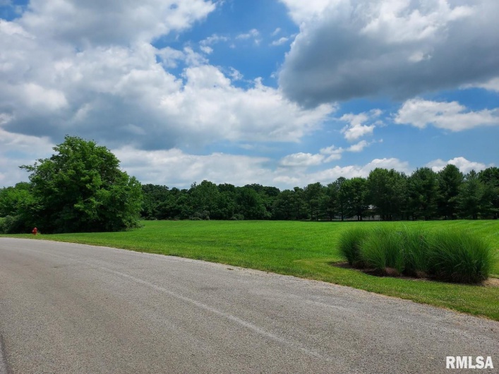 3775 ARIEL Drive, Murphysboro, Illinois 62966, 0 , 0 ,0,Land,For Sale,ARIEL,0,RMAEB453881