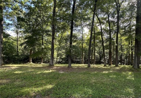 90 Chivalry Lane, Jackson, Missouri 63755, ,Land,For Sale,Chivalry,MAR24041590