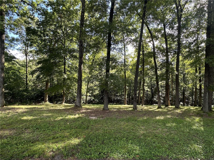 90 Chivalry Lane, Jackson, Missouri 63755, ,Land,For Sale,Chivalry,MAR24041590