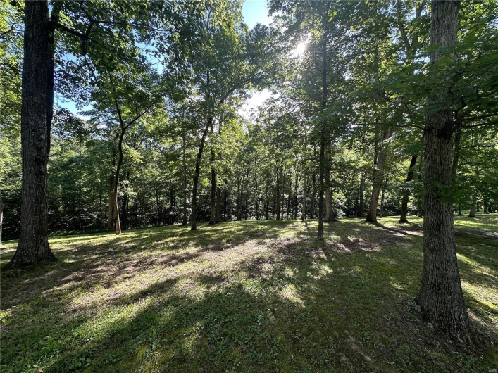 90 Chivalry Lane, Jackson, Missouri 63755, ,Land,For Sale,Chivalry,MAR24041590