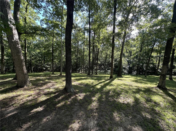 90 Chivalry Lane, Jackson, Missouri 63755, ,Land,For Sale,Chivalry,MAR24041590