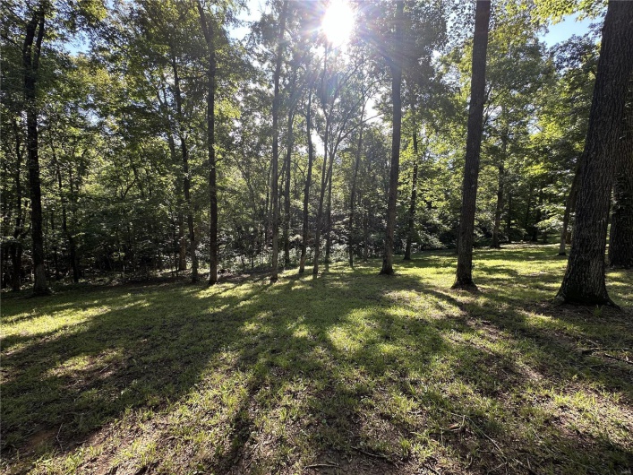 90 Chivalry Lane, Jackson, Missouri 63755, ,Land,For Sale,Chivalry,MAR24041590