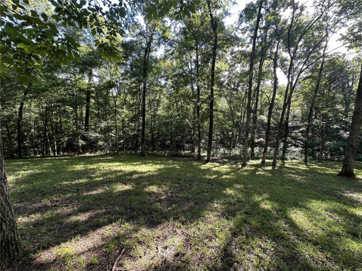 90 Chivalry Lane, Jackson, Missouri 63755, ,Land,For Sale,Chivalry,MAR24041590