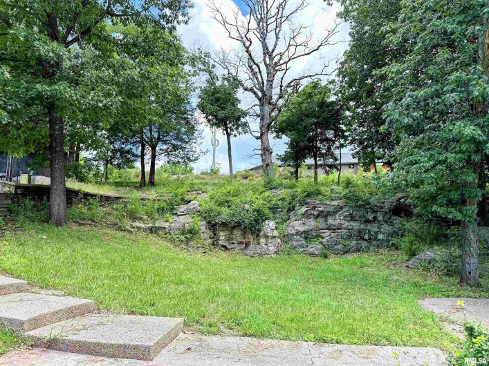 0000 Brewster Valley, Pomona, Illinois 62975, 0 , 0 ,0,Commercial Sale,For Sale,Brewster,0,RMAEB454323
