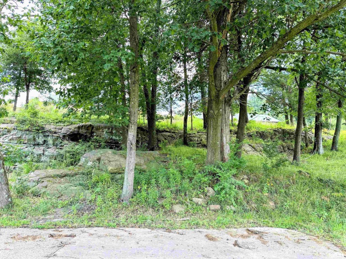 0000 Brewster Valley, Pomona, Illinois 62975, 0 , 0 ,0,Commercial Sale,For Sale,Brewster,0,RMAEB454323
