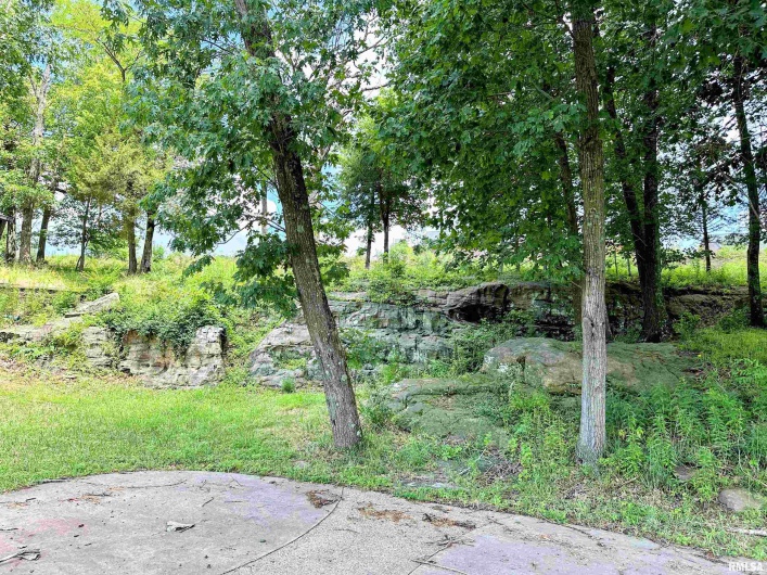 0000 Brewster Valley, Pomona, Illinois 62975, 0 , 0 ,0,Commercial Sale,For Sale,Brewster,0,RMAEB454323