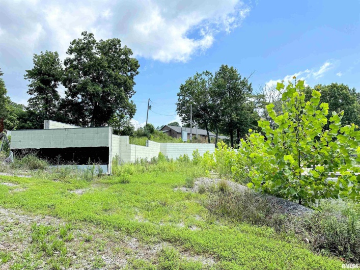 0000 Brewster Valley, Pomona, Illinois 62975, 0 , 0 ,0,Commercial Sale,For Sale,Brewster,0,RMAEB454323