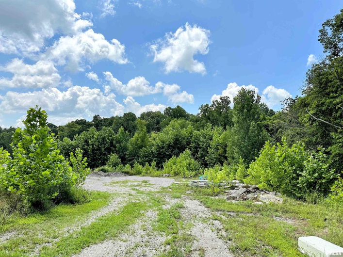 0000 Brewster Valley, Pomona, Illinois 62975, 0 , 0 ,0,Commercial Sale,For Sale,Brewster,0,RMAEB454323
