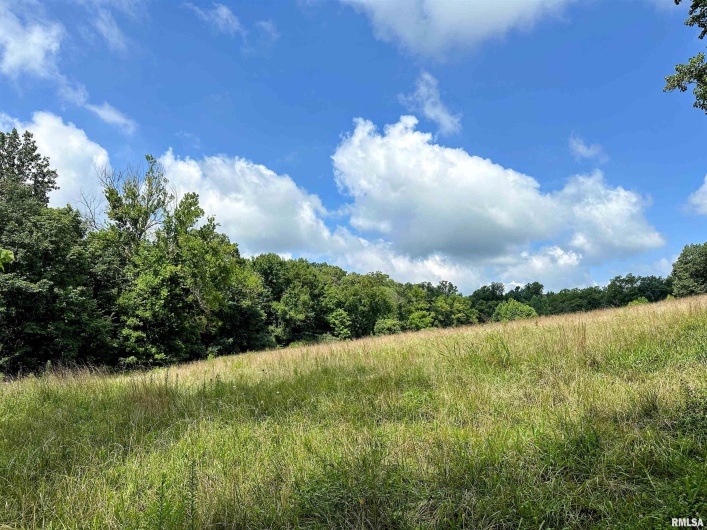 0000 Brewster Valley, Pomona, Illinois 62975, 0 , 0 ,0,Commercial Sale,For Sale,Brewster,0,RMAEB454323