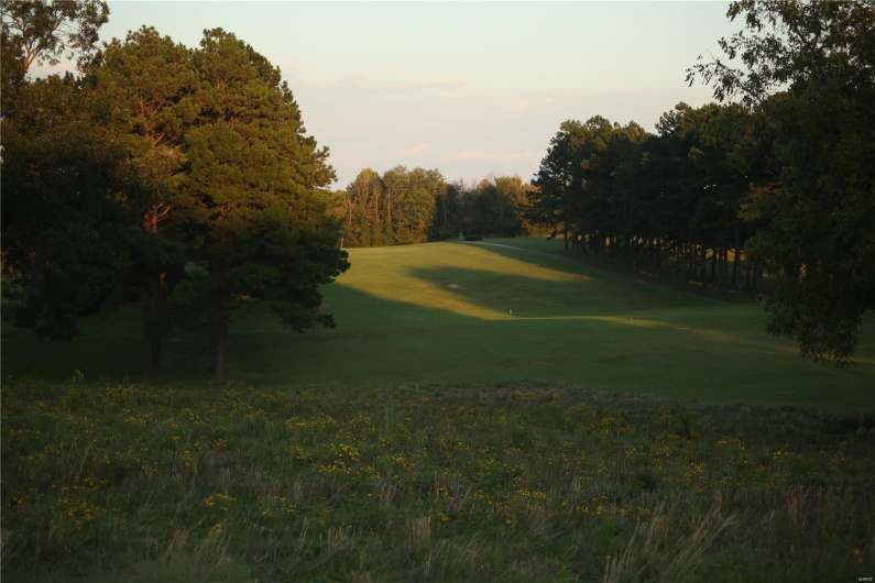 0 Eagle Court, Ste Genevieve, Missouri 63670, ,Land,For Sale,Eagle,MAR20004458