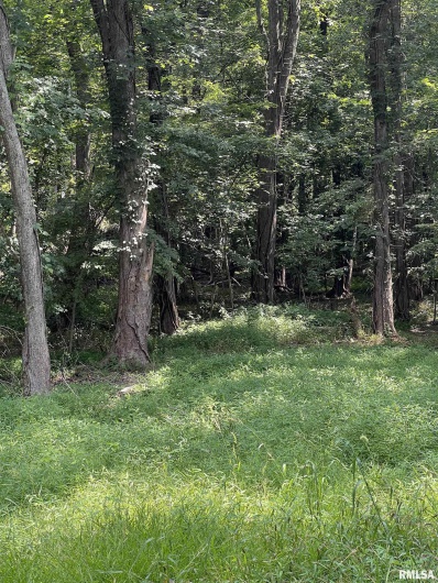 TBD Lot 7 8 9 KENTUCKY Street, Cambria, Illinois 62915, 0 , 0 ,0,Land,For Sale,KENTUCKY,0,RMAEB454391