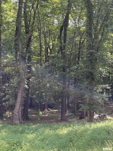 TBD Lot 7 8 9 KENTUCKY Street, Cambria, Illinois 62915, 0 , 0 ,0,Land,For Sale,KENTUCKY,0,RMAEB454391