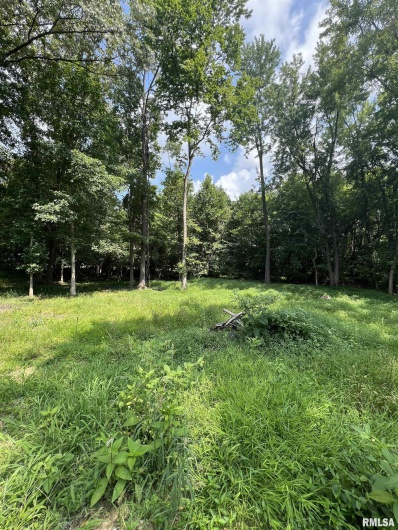 TBD Lot 7 8 9 KENTUCKY Street, Cambria, Illinois 62915, 0 , 0 ,0,Land,For Sale,KENTUCKY,0,RMAEB454391
