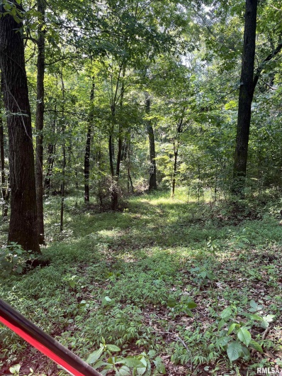5504 MARION Road, Metropolis, Illinois 62960, 1 Bedroom Bedrooms, 0 ,1 BathroomBathrooms,Land,For Sale,MARION,0,RMAEB454364