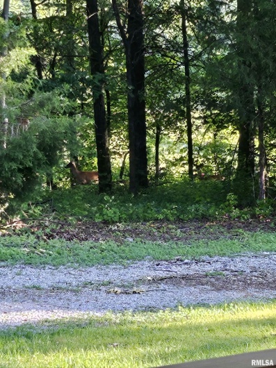 5504 MARION Road, Metropolis, Illinois 62960, 1 Bedroom Bedrooms, 0 ,1 BathroomBathrooms,Land,For Sale,MARION,0,RMAEB454364