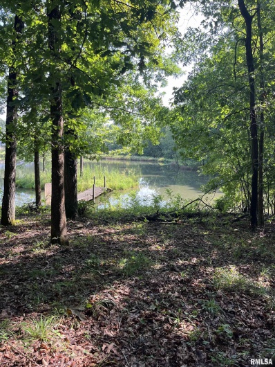 5504 MARION Road, Metropolis, Illinois 62960, 1 Bedroom Bedrooms, 0 ,1 BathroomBathrooms,Land,For Sale,MARION,0,RMAEB454364