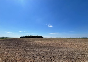 0 E County Road 2, Blytheville, Missouri 63877, ,Farm,For Sale,E County Road 2,MAR24043003