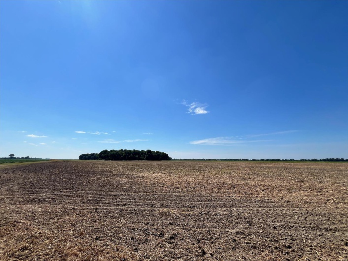 0 E County Road 2, Blytheville, Missouri 63877, ,Farm,For Sale,E County Road 2,MAR24043003