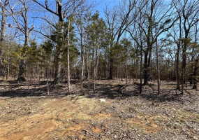 0 Rue Riviera, Bonne Terre, Missouri 63628, ,Land,For Sale,Rue Riviera,MAR24017929