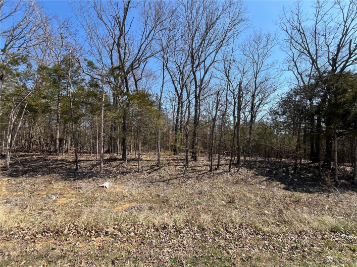 0 Rue Riviera, Bonne Terre, Missouri 63628, ,Land,For Sale,Rue Riviera,MAR24017929