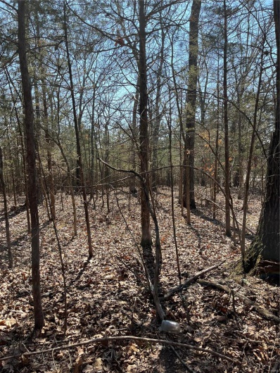0 Rue Riviera, Bonne Terre, Missouri 63628, ,Land,For Sale,Rue Riviera,MAR24017929