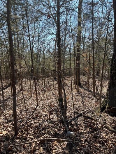 0 Rue Riviera, Bonne Terre, Missouri 63628, ,Land,For Sale,Rue Riviera,MAR24017929