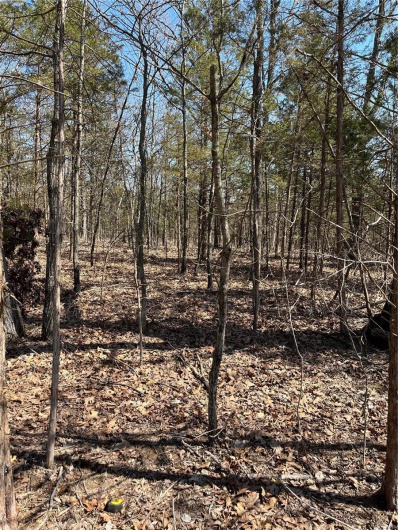 0 Rue Riviera, Bonne Terre, Missouri 63628, ,Land,For Sale,Rue Riviera,MAR24017929