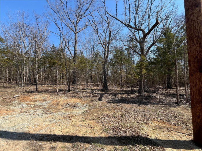 0 Rue Riviera, Bonne Terre, Missouri 63628, ,Land,For Sale,Rue Riviera,MAR24017929