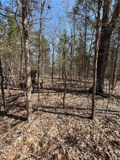 0 Rue Riviera, Bonne Terre, Missouri 63628, ,Land,For Sale,Rue Riviera,MAR24017929