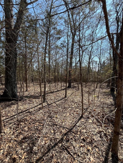 0 Rue Riviera, Bonne Terre, Missouri 63628, ,Land,For Sale,Rue Riviera,MAR24017929
