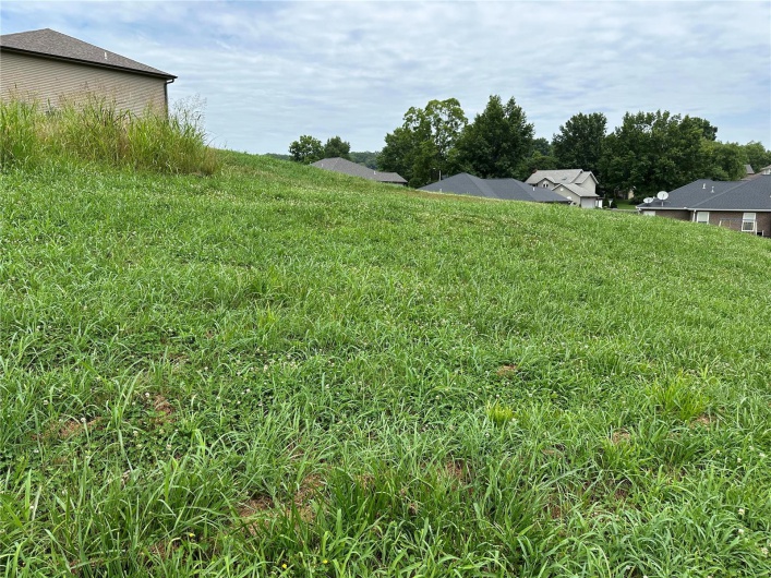 3552 Mill View Crossing Way, Cape Girardeau, Missouri 63701, ,Land,For Sale,Mill View Crossing,MAR24039211
