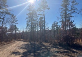 57 Madison CR 410, Fredericktown, Missouri 63645, ,Farm,For Sale,Madison CR 410,MAR24022489
