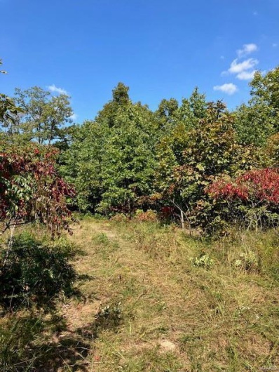 23 Church Road (CR 114), Annapolis, Missouri 63620, ,Farm,For Sale,Church Road (CR 114),MAR24021080