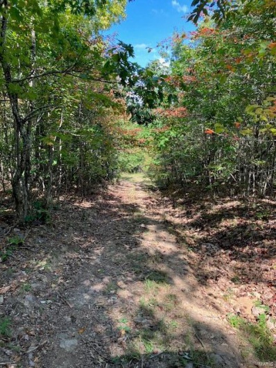 23 Church Road (CR 114), Annapolis, Missouri 63620, ,Farm,For Sale,Church Road (CR 114),MAR24021080