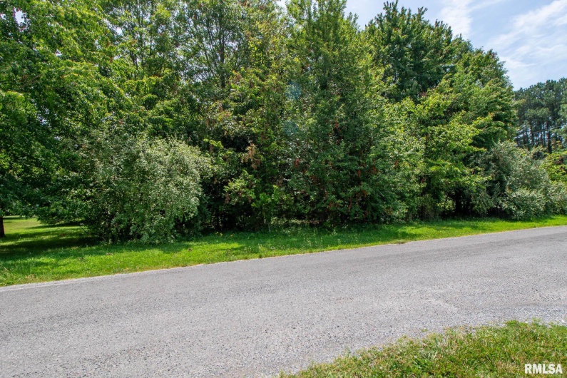 15500 REMINGTON Road, Marion, Illinois 62959, 0 , 0 ,0,Land,For Sale,REMINGTON,0,RMAQC4254835
