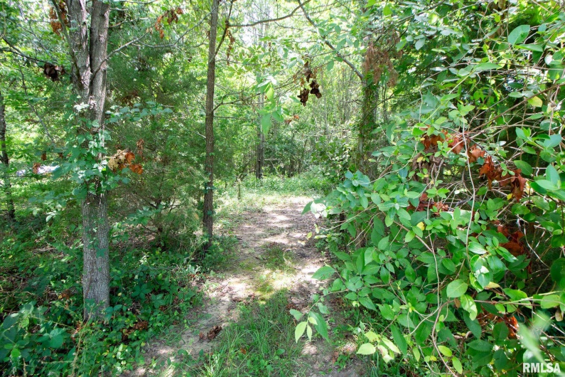 15500 REMINGTON Road, Marion, Illinois 62959, 0 , 0 ,0,Land,For Sale,REMINGTON,0,RMAQC4254835