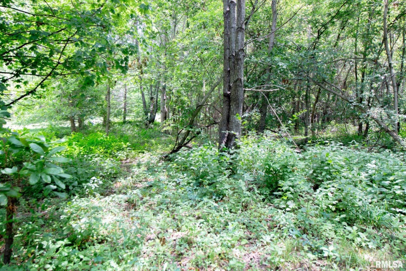 15500 REMINGTON Road, Marion, Illinois 62959, 0 , 0 ,0,Land,For Sale,REMINGTON,0,RMAQC4254835
